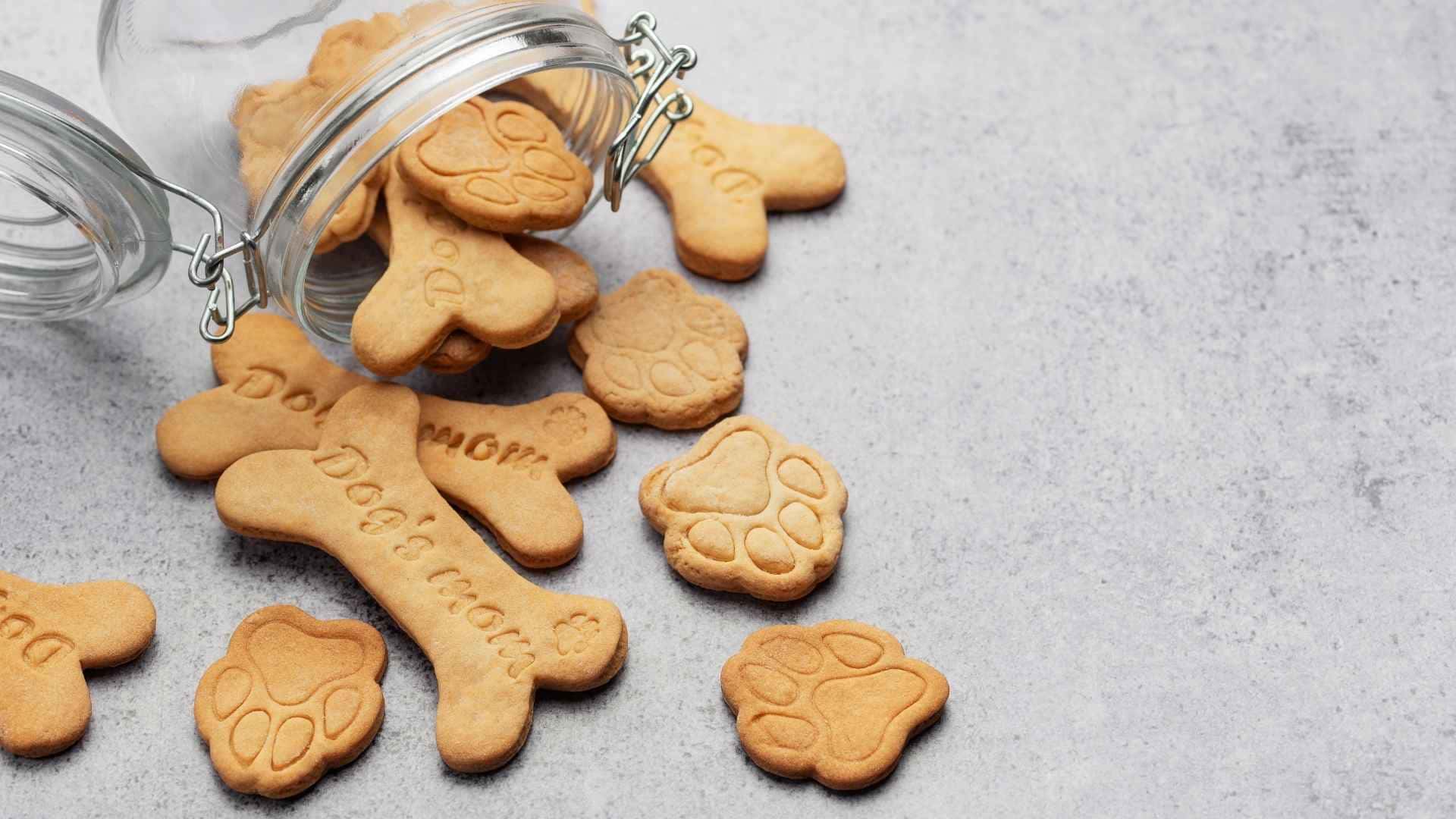 exceso chuches perros
